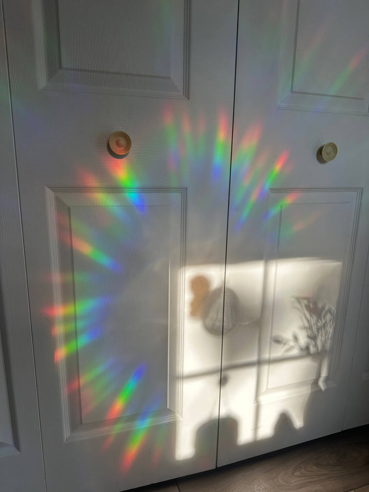 Tired of Beeing Sun Catcher - Octopied Mind